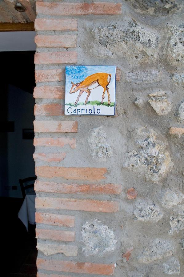 Agriturismo Fontesettimena Appartamento Rondine- Appartamento Capriolo 볼테라 외부 사진